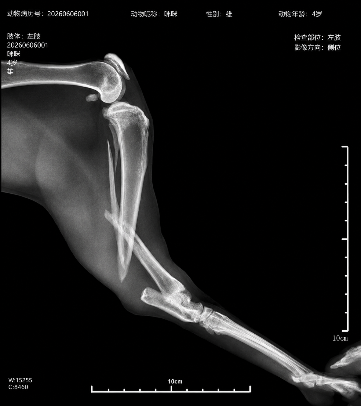 5BC2A489-81F0-4599-A1B5-CA5C137EE0DF.png