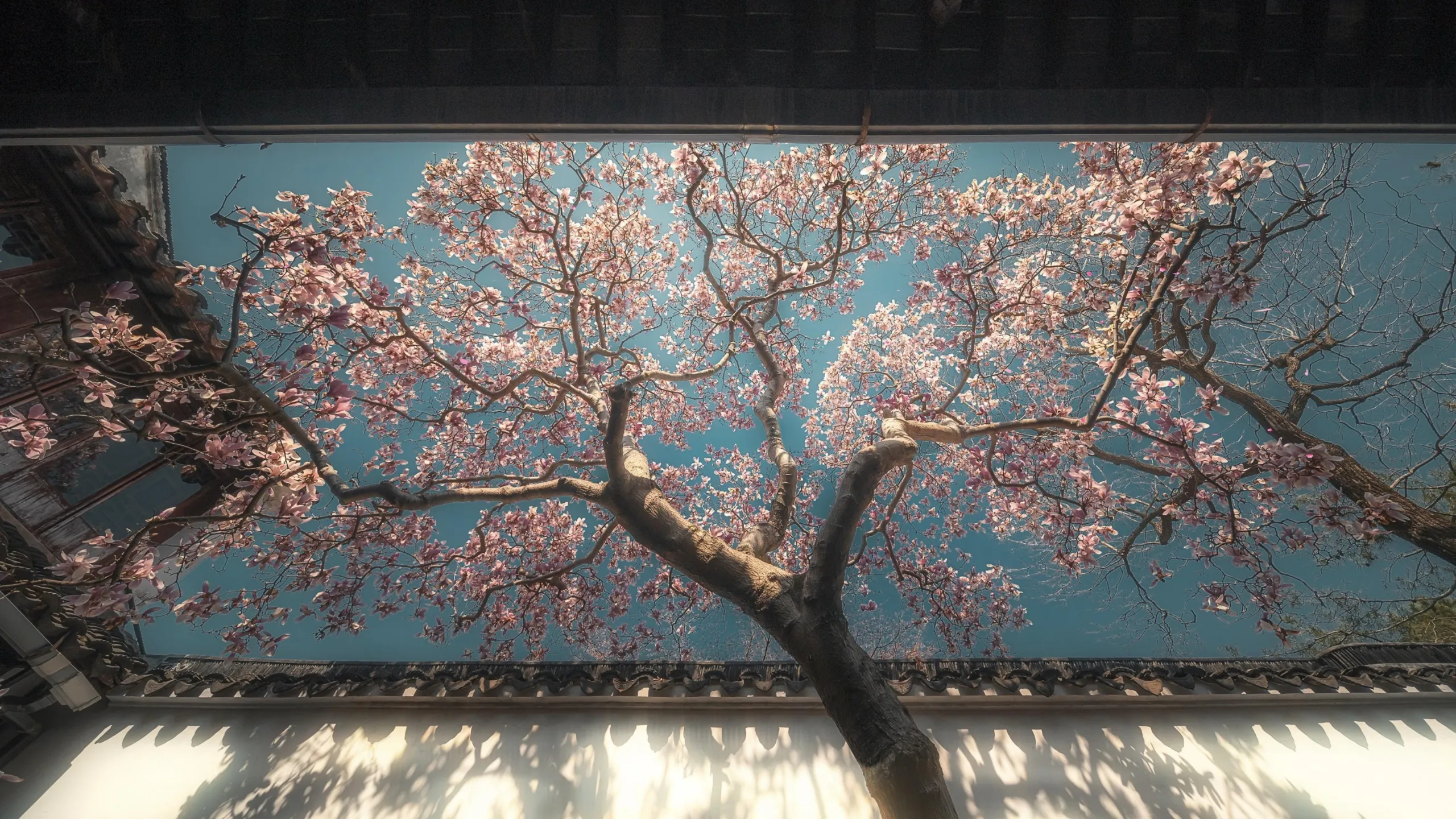 37419967.webp